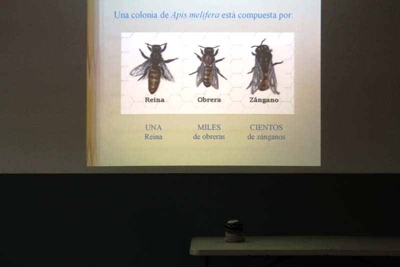 Semana Ciencias en Los Tilos